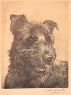 Kovács Antal (1860-1945): Pumi. Rézkarc, Papír, Jelzett, üvegezett Keretben, 21×16 Cm - Andere & Zonder Classificatie