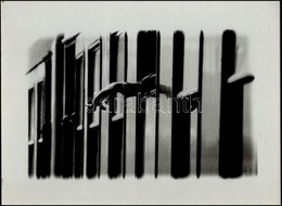 Cca 1979 Bozsoki Csaba: Cím Nélkül, Feliratozott, Vintage Fotóművészeti Alkotás, A Magyar Fotográfia Avantgarde Korszaká - Other & Unclassified