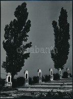 Cca 1976 Gebhardt György (1910-1993) Aláírt, Cím Nélküli Vintage Fotóművészeti Alkotása, 24x18 Cm +  	
Cca 1975 Gebhardt - Other & Unclassified