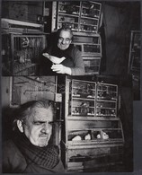 Cca 1975 Szerencsés János: Madártenyésztő I-V., Pecséttel Jelzett Vintage Fotóművészeti Alkotás, 5 Db Fotó, A Magyar Fot - Other & Unclassified