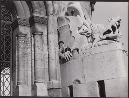 Cca 1940 Tokaji András Aláírt Vintage Felvétele Egy Budapesti Kősárkányról, 18x24 Cm - Andere & Zonder Classificatie