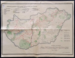 1932 Csonka Magyarország Gyümölcstermő Területei és Borvidékei Beosztása, Tervezte: Krausz György, Bp., Budapest Hírlapn - Other & Unclassified