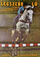 Cca 1985 A Legszebb Ló Ofszet Film Plakát, Hajtogatva, Jó állapotban 55x80  Cm - Andere & Zonder Classificatie