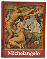 Michelangelo. Festői életműve. Összeáll.: Ettore Camesasca. Az Előszót Charles De Tolnay írta. Fordította: Havas Lujza.  - Zonder Classificatie