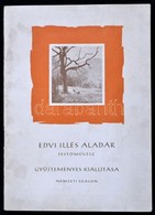 Edvi Illés Aladár. Festőművész Gyűjteményes Kiállítása, 1958 április-május. Bp.,1958,Nemzeti Szalon. Kiadói Papírkötés. - Non Classés