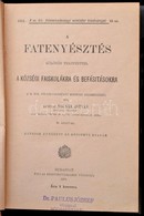 Rudinai Molnár István: A Fatenyésztés. Különös Tekintettel A Községi Faiskolákra és Befásításokra. A M. Kir. Földmivelés - Non Classificati