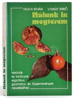 Velich István - V. Nagy Enikő: Nálunk Is Megterem. Históriák és Tanácsok Egzotikus Gyümölcs- és Fűszernövények Neveléséh - Unclassified