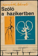 Horváth Sándor: Szőlő A Házikertben. Bp.,1967, Mezőgazdasági Kiadó. Kiadói Papírkötés, Kis Sérüléssel A Gerincen. - Unclassified