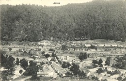 T2/T3 Anina, Stájerlakanina, Steierdorf; Látkép, Hollschütz Kiadása / General View (EK) - Ohne Zuordnung