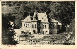 T2/T3 1912 Borpatak-telep, Valea Borcutului (Nagybánya); Pokol-kastély. Kovács Gyula Kiadása / Castle (EK) - Zonder Classificatie