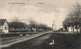T2 1909 Temesújfalu, Temesvár-Újfalu, Neudorf; Kereszt út Kacsákkal / Kreuzgasse / Street With Ducks - Unclassified
