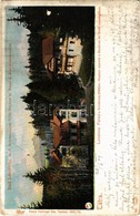 T3 1909 Lucsivna, Lucivná; Lucsivna Fürdő A Krivánnal, Neptun Nyaraló A Bazárral és Fürdő Vendéglővel, étterem. Kiadja F - Ohne Zuordnung