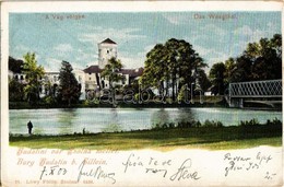 T2/T3 1903 Zsolna, Sillein, Zilina; Budatin Vár, Híd. Kiadja Löey Fülöp 77. / Budatínsky Hrad / Budatín Castle, Bridge - Non Classés