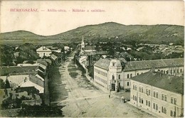 T2/T3 1912 Beregszász, Berehove; Attila Utca, Kilátás A Szőlőkre. W. L. Bp. 6094. Kiadja Auer K. és Kovács K. / Street V - Non Classés