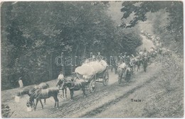 ** T2/T3 Train. Trén (málhás Szekerek Menetoszlopa és Legénysége) Pihenő, Lovak Etetés Alatt / WWI Austro-Hungarian K.u. - Ohne Zuordnung