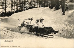 ** T2 Bobsleigh / Winter Sport, Bobsled, Sledding People. Engadin Press Co. 551. - Unclassified