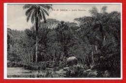 Amérique - BRESIL -- Rio De Janeiro -- Jardin Botanico - Rio De Janeiro