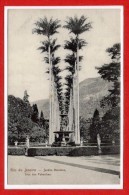 Amérique - BRESIL -- Rio De Janeiro -- Jardin Botanico - Alea Das  Palmeiras - Rio De Janeiro