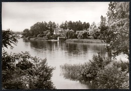 A1465 - Zechlinerhütte Kr. Neuruppin - Am Schlabornsee - Reichenbach - Zechlinerhütte