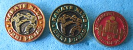 KARATE AND WEIGHTLIFTING THREE  BADGES - Gewichtheffen