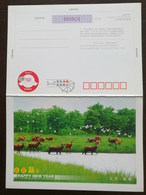 Pere David's Deer Eco-tourism Area,egret Bird,wetland,China 2007 Yancheng New Year Greeting Pre-stamped Letter Card - Protection De L'environnement & Climat