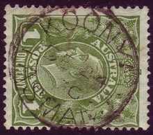 TASMANIA • 1924 • CDS On Commonwealth Period (1d Green KGV) • KOONYA - Gebraucht