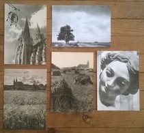 Lot De 5 Cartes Postales / Cathédrale De CHARTRES - Monuments