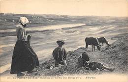 29-LA-POINTE-DU-RAZ- GARDEUSE DE VACHES AU ETANGS D'YS - La Pointe Du Raz