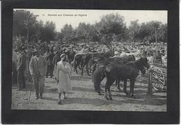 CPA Algérie Marché Aux Chevaux Market Non Circulé - Other & Unclassified