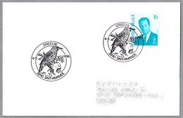 ESTORNINO PINTO - Sturnus Vulgaris - Common Starling - Etourneau Sansonnet. Sint Amands 1996 - Mechanical Postmarks (Advertisement)