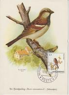 Saint Marin Carte Maximum 1972 Oiseaux Moineau 810 - Storia Postale