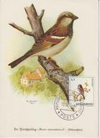 Saint Marin Carte Maximum 1972 Oiseaux Moineau 810 - Brieven En Documenten