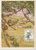 Saint Marin Carte Maximum 1972 Oiseaux Roitelet 811 - Storia Postale