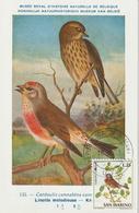 Saint Marin Carte Maximum 1972 Oiseaux Linotte 816 - Brieven En Documenten