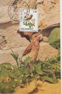Saint Marin Carte Maximum 1972 Oiseaux Traquet 817 - Brieven En Documenten