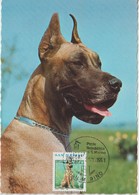 Saint Marin Carte Maximum 1991 Animaux Chien 1275 - Covers & Documents