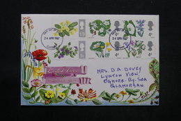 ROYAUME UNI - Enveloppe FDC Fleurs En 1967 - L 28458 - 1952-1971 Pre-Decimal Issues