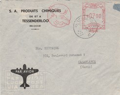 Belgique EMA Illustrée Animal Renne Lettre Entête Produits Chimiques De Et à TESSENDERLOO 1981 Pour Maroc - 1980-99