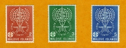 Eradication Du Paludisme 1962 - Maldives (...-1965)
