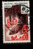 - COMORES - 1966 - YT N° 38 - Oblitéré - Merou - Used Stamps