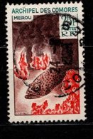 - COMORES - 1966 - YT N° 38 - Oblitéré - Merou - Gebraucht