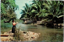 AMERIQUE - ANTILLES - JAMAIQUE - White River - Ocho Rios - Jamaica