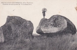 87---BUJALEUF-CHEISSOUX--roches Druidiques De Villemonteix--voir 2 Scans - Sonstige Gemeinden