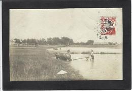 CPA Tonkin Indochine Métier Carte Photo RPPC Circulé - Vietnam