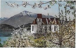 RISCH → Frühling Bei Risch Am Zugersee Ca.1930 - Risch-Rotkreuz