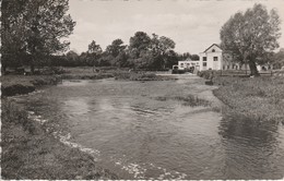 27 - MARCILLY SUR EURE - Pâturage Et Moulin Aux Bords De L' Eure - Marcilly-sur-Eure