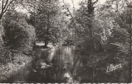 27 - MARCILLY SUR EURE - Les Bords Du Couénon - Marcilly-sur-Eure