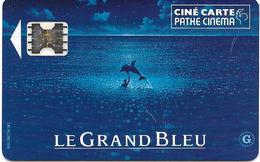 @+ Carte Cinema -  Pathé : Le Grand Bleu (Film) - Cinécartes