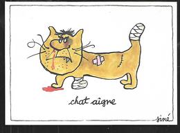 Cpm St004617 Siné Chat Taigne , Chataigne, Pain, Mauvais Garçon , édition De 1979 - Sine