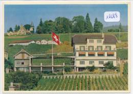 CPM GF -19688- Suisse - Auvernier  -Hôtel Restaurant Bellevue - Envoi Gratuit - Auvernier